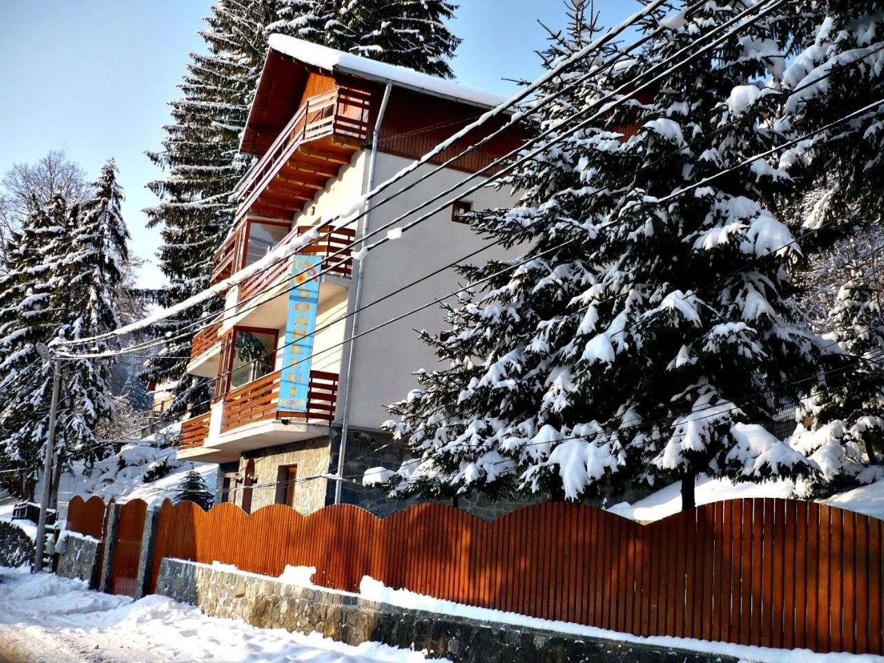 Pension Casa Soarelui Sinaia Exterior foto